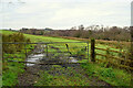 Muddy entrance to field, Botera Lower