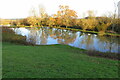 Ponds at Borough Hill Farm