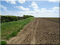 Field and hedgerow, Benniworth