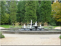 TL4557 : Fountain at 3-way path junction, Cambridge University Botanical Garden by Ruth Sharville