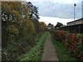 Footpath by Cove Brook