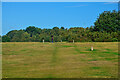 SP1096 : Sutton Coldfield : Sutton Park by Lewis Clarke