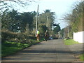 Horse riders along Roman Road