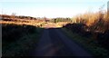 New service road for the Auchrobert Wind Farm