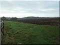 Recently ploughed field, north of Sicklinghall House