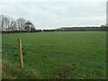 Field with an electric fence, east of Longlands Lane