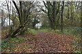 SU3427 : Leafy path past Park Farm by David Martin