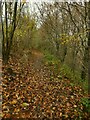 Course of the old Farnley ironworks railway