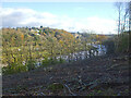 The Avon gorge from Leigh Woods