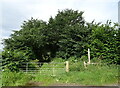 Farm track (bridleway) off Low Street