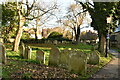 Graveyard, Church of St Mary & St Eanswythe