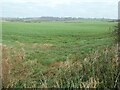 Farmland east of Baffle Beck