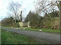 Tree with lopped-off branches, Moor Lane