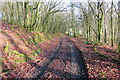 Llwybr i Abergorlech / Path to Abergorlech