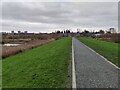 Path next to Puxton Marsh in Kidderminster