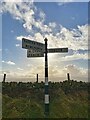 Direction Sign ? Signpost near Haddings Head