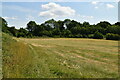 Field between Holland Rd and The Oxted Line