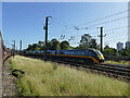 Grand Central train passing Holgate sidings