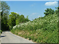 Lane west from South Fawley