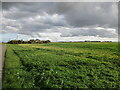 Black House Farm and Aslackby Fen