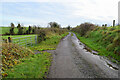 H4074 : Millbrae Road, Dunwish by Kenneth  Allen