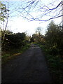 Path alongside allotments