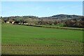 Farmland at Gold Hill Farm