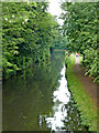 Staffordshire and Worcestershire Canal in Stourport