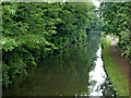 Staffordshire and Worcestershire Canal in Stourport