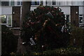 View of a hedge covered in tinsel and Christmas presents on Grosvenor Road