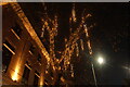 View of icicle lights hanging from a tree on King