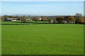 Farmland at King