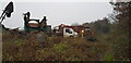 Old Plant at Timber Processing Facility