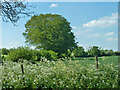 SP3312 : Farmland west of Crawley by Robin Webster
