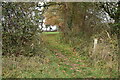 Footpath through field boundary south of Upham