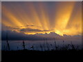 Westward as the sun sinks over Lossie Forest