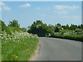 Road towards Field Assarts