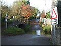 Autumn colour on Mill Lane