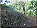 Defensive bank at Deddington motte and bailey castle