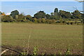 TQ4767 : Arable field, Derry Downs by N Chadwick