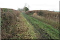 Bridleway towards Weston