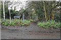 Path into Lye Valley Nature Reserve