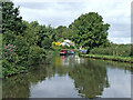 Canal near Baswich in Stafford