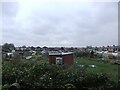 Allotments in Bridlington