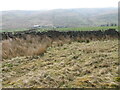 Wall towards Spango View and Whiteside Hill