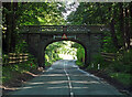 Bridge near Bruera