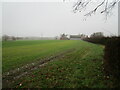 Autumn sown crop and Park Lidget