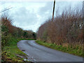 Road towards Washmere Green