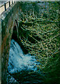 Morland beck exiting the road bridge