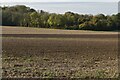 TQ4764 : Large bare field by N Chadwick